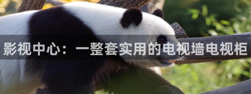 国产成人欧美影院：影视中心：一整套实用的电视墙电视柜