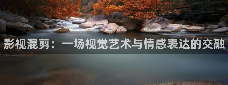 在线欧美影院：影视混剪：一场视觉艺术与情感表达的交融