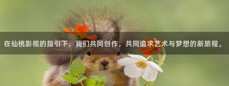 在线欧美影院：在仙桃影视的指引下，我们共同创作，共同追求艺术与梦想的新旅程。