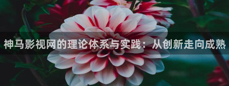 adc欧美影院：神马影视网的理论体系与实践：从创新走向成熟