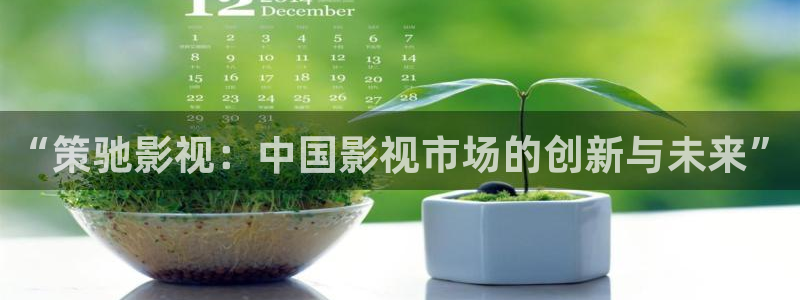 大香欧美影院：“策驰影视：中国影视市场的创新与未来”