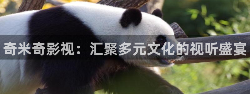 矿桥欧美影院在线观看：奇米奇影视：汇聚多元文化的视听盛宴