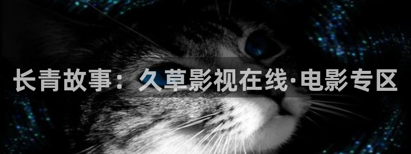 优优色在线欧美影院：长青故事：久草影视在线·电影专区